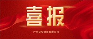 喜報丨熱烈祝賀 “堅寶電纜”在國家經(jīng)濟視窗“中宏網(wǎng)”建檔??！