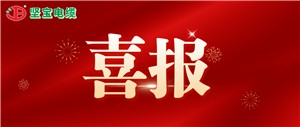 喜報丨堅寶獲評綠色工廠(chǎng)